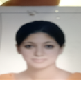 Collaborator Image