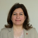 Collaborator Image